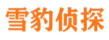 边坝侦探公司